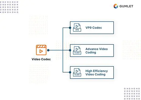 Integrated Video and Audio Codecs