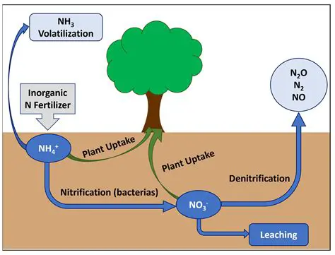 Integration with other fertilizers