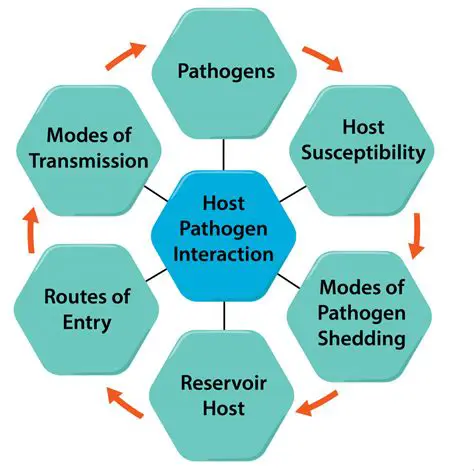 Interaction with host cells