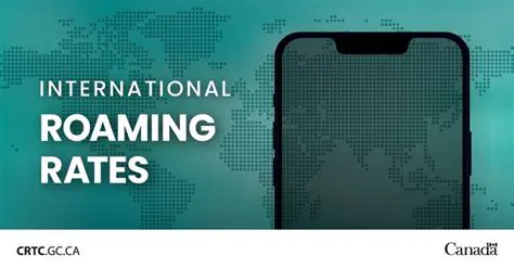 International roaming fees