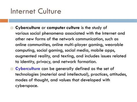 Internet Culture or Cyberculture