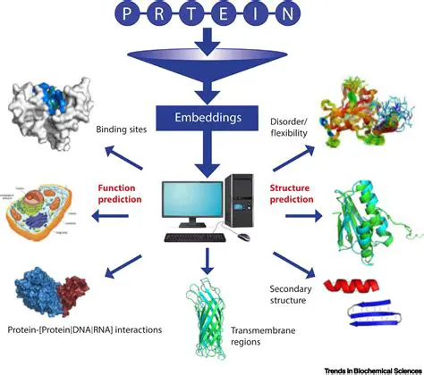 Interpreting Color Changes in Protein Detection