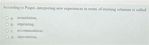 Interpreting New Experiences through Schemas