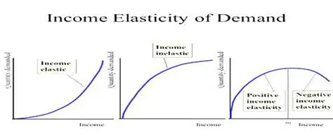 Interpreting the Income Elasticity of Demand for Coffee