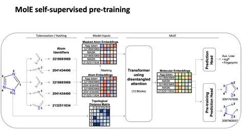 Introducing Mole End Easy Orders Backup