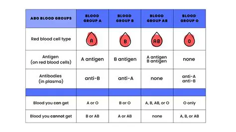 Introduction to Blood Types