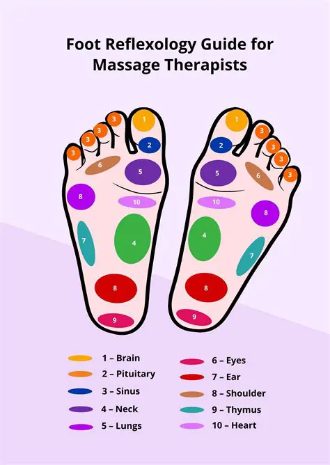 Introduction to MB Free Reflexology