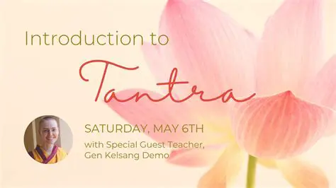 Introduction to PanoTransform