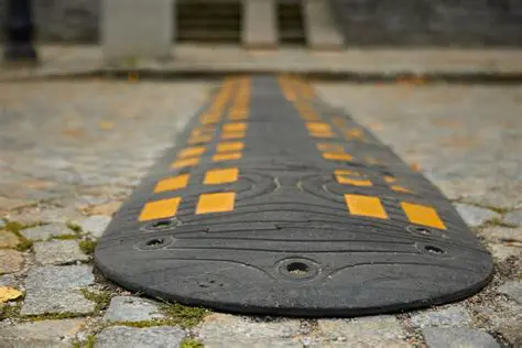 Introduction to Speed Bumps