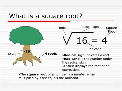 Introduction to Square Roots