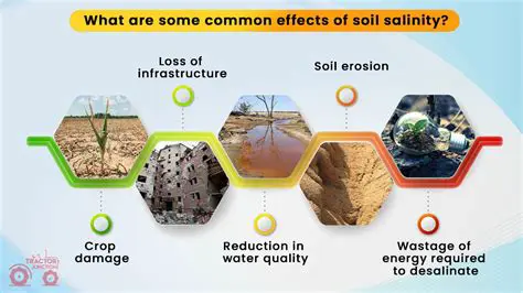 Investigate the effects of soil salinity on FMA growth and diversity