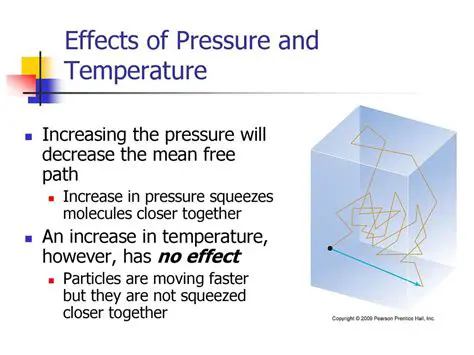 Investigating the Effects of Temperature and Humidity