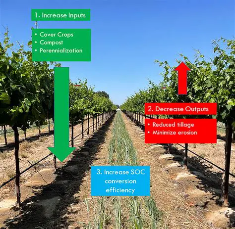 Investigating the impact of land control systems on other crops