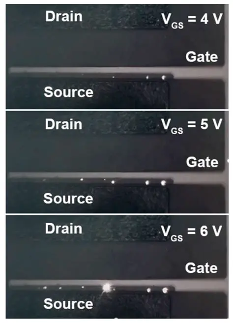 Investigating the Test Failure