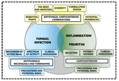 Investigation of the antimicrobial and antifungal properties