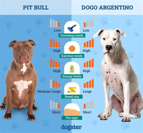 Is Dogo News Reliable? An In-Depth Look at a Popular Pet Information Source