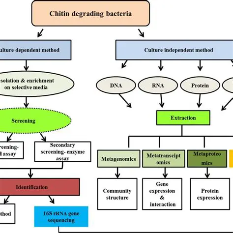Isolation and Characterization of Chitinolytic Bacteria