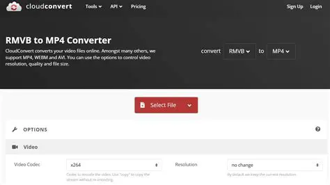 iWellsoft RM RMVB to AMR MP3 AAC Converter