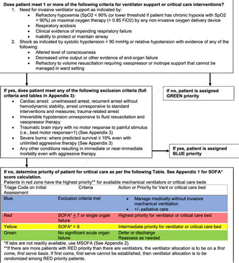Key Characteristics of a Triage Officer