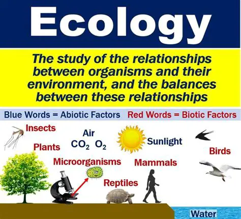 Key Characteristics of Ecological Studies