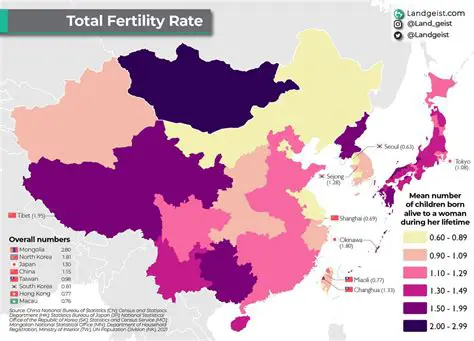 Key Characteristics of Fertility Rate