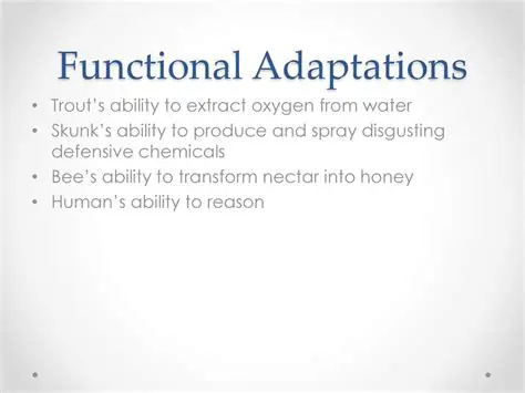 Key Characteristics of Functional Adaptations