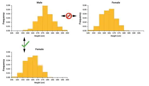 Key Components of a Histogram