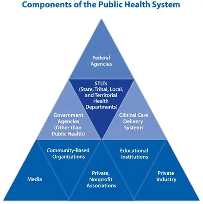 Key Components of Public Health
