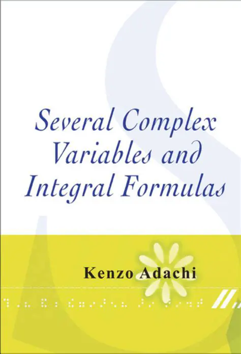 Key Concepts in Several Complex Variables