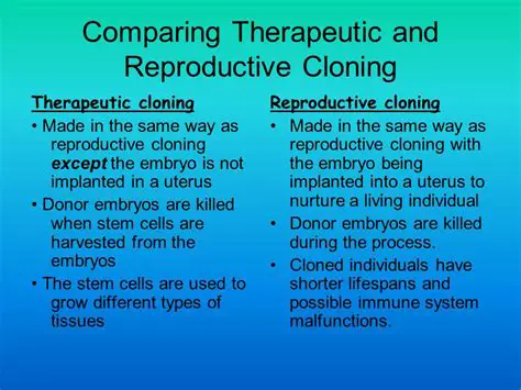Key Differences Between Therapeutic and Reproductive Cloning