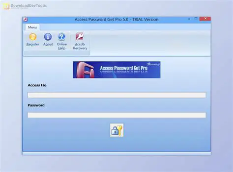 Key Features of Access Password