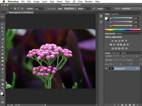 Key Features of Adobe Photoshop Extended