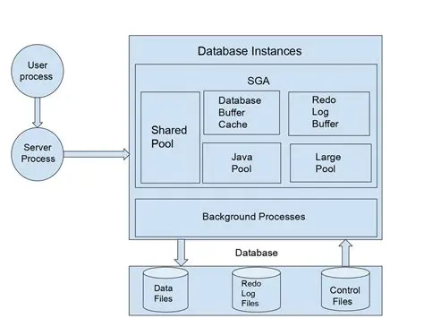 Key Features of Advanced Bionics Database Instance