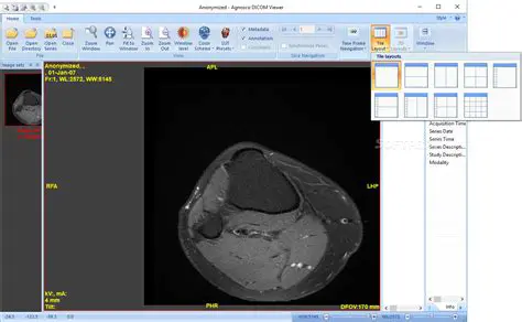 Key Features of Agnosco DICOM Viewer