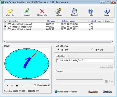 Key Features of AimOne WMV Converter