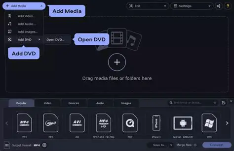 Key Features of Alldj DVD To MPEG Converter
