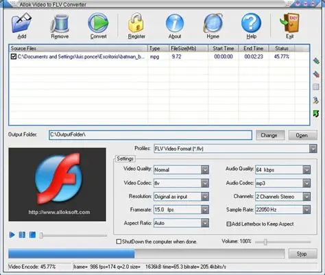 Key Features of Allok Video to FLV Converter