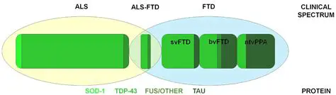 Key Features of ALS Post Processor