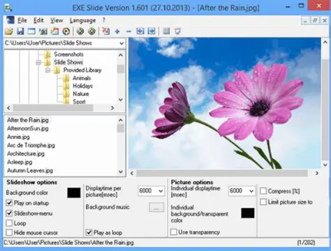Key Features of Alternate Pic View EXESlide