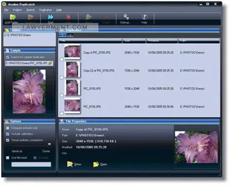 Key Features of Analinx Duplicatch