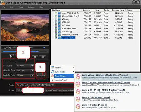 Key Features of Aplus Video to Zune Converter