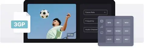 Key Features of AUAU 3GP Converter