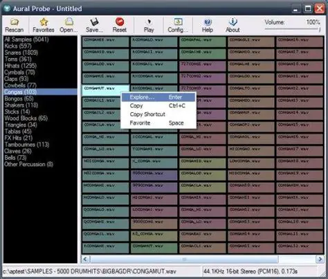 Key Features of Aural Probe