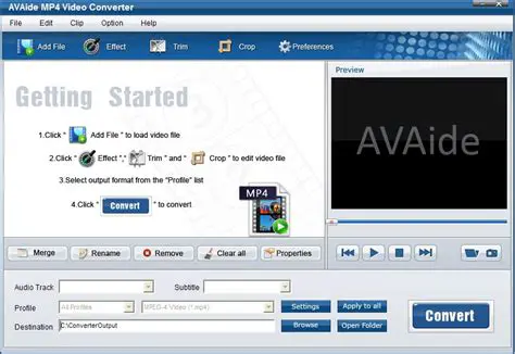 Key Features of Avaide DVD To MP4 Converter