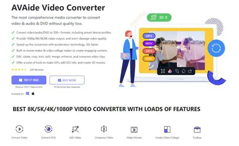 Key Features of AVAide Video Converter