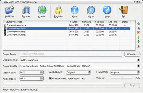 Key Features of AVI WMV MPEG Converter