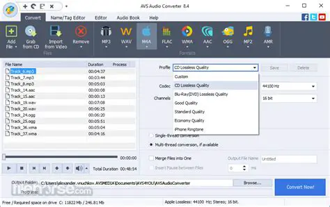 Key Features of AVS Audio Converter