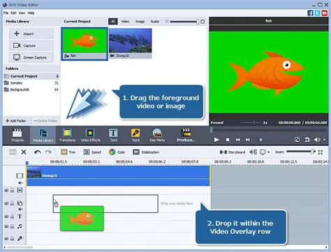 Key Features of AVS Document Editor