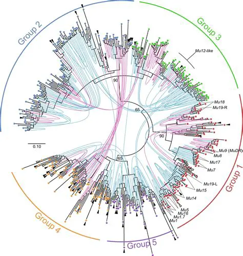 Key Features of Axogon Mutator