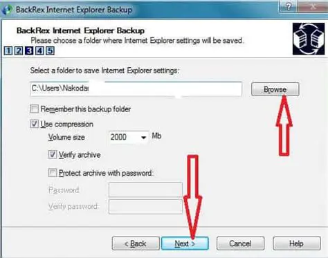 Key Features of BackRex Internet Explorer Backup